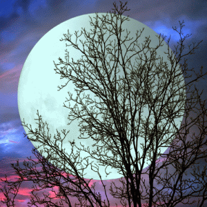Super Luna a trecut, dar prevestirile au rămas