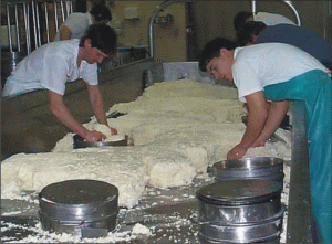 Cifra de afaceri a "Delaco" Braşov a crescut cu 48%