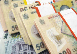 "Este nevoie de economisire în lei pe termen lung, care să susţină creditarea pe perioade mari"