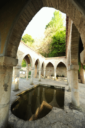Nympheum la Balcic