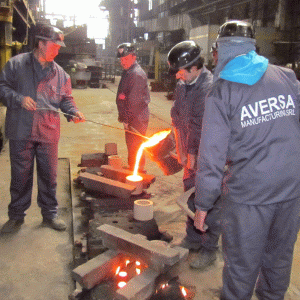 Aversa a câştigat definitiv litigiul asupra unor terenuri
