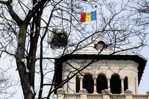 MAI: Aproape o sută de manifestări în toată ţara