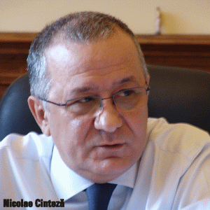 Şeful supravegherii BNR, Nicolae Cinteză, propus pentru audieri în Senat