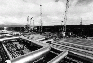 "Gazprom" vrea să facă achiziţii în străinătate