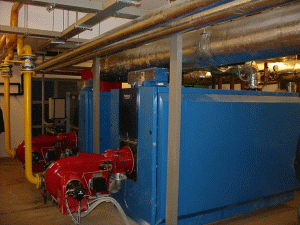 Vânzări de 30,3 milioane de lei pentru "Baxi" România în 2008
