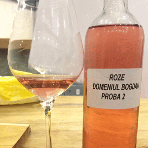 "Domeniul Bogdan" aduce vinurile biodinamice în România