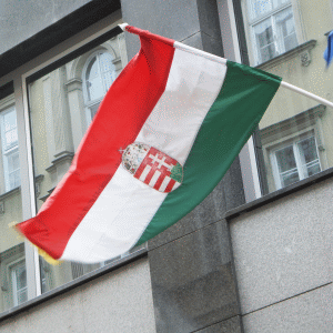 Ungaria: Băncile analizează vânzarea creditelor ipotecare neperformante 