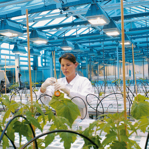 "Bayer" a lansat o ofertă nesolicitată de preluare a "Monsanto"