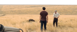 Trailer "Câini" (Sursa foto: captură Youtube)