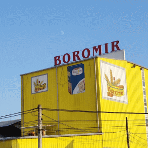 Acţionarii Boromir Prod, convocaţi pentru asocierea cu societatea Kalizea SAS
