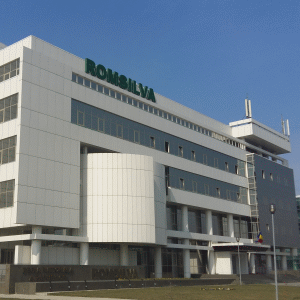 Romsilva alocă 25 milioane de lei pentru achiziţia de terenuri ce urmează să fie împădurite