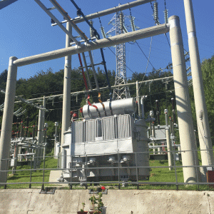 Ioan Dobre, directorul Electrica Transilvania Sud: "Avem un program de investiţii de 260 de milioane de lei"