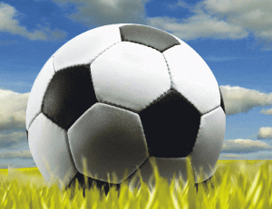 Întreg staff-ul tehnic al naţionalei Turciei, anchetat în cazul loviturii de stat care a eşuat