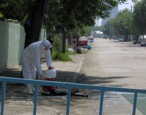 Despăgubiri pentru firmele acuzate de răspândirea gripei aviare