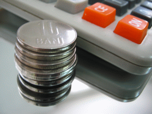 "Economia a crescut datorită majorării veniturilor şi investiţiilor, dar şi scăderii taxelor"