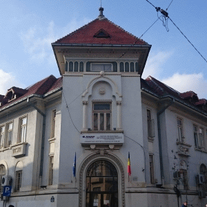 Mişa, ANAF: "Companiile străine trebuie să-şi plătească impozitul acolo unde fac profit"