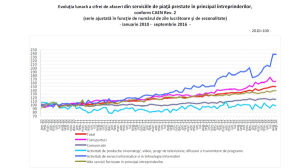 Sursa foto: Print screen- raport INS