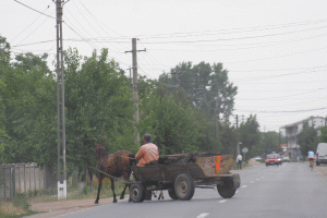 Introducerea RCA pentru căruţe este o "eroare materială", măsura va fi discutată