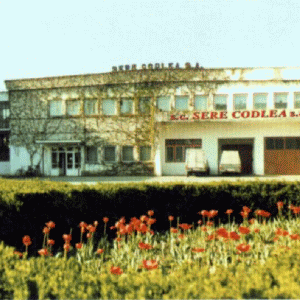 Femeia care a devalizat Sere Codlea a mai primit şase ani de închisoare