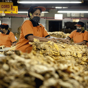 "Reynolds American" a respins oferta de preluare de la BAT