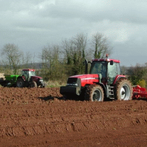 Ministrul Finanţelor: "Agricultura, construcţiile şi industria sunt sectoare cu creşteri economice semnificative"