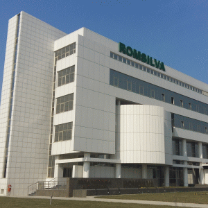Romsilva pune pe piaţă peste 61.000 de pomi de Crăciun