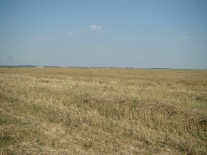 "Terenul nostru agricol - câştiguri importante pentru străini din speculă şi nu din exploatarea sa"