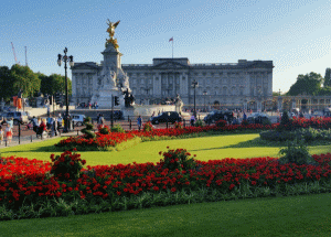 Ministrul pentru Brexit nu e interesat de un acord de tranziţie cu UE