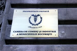Preşedintele CCIB, întrevedere pentru dezvoltarea relaţiilor economice româno-cehe