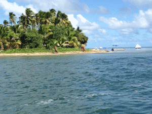 Cutremur de magnitudinea 7,2 în largul Fiji şi alertă locală de tsunami