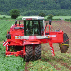Beneficii de 392 milioane de euro pe an prin reabilitarea a două milioane de hectare de irigaţii