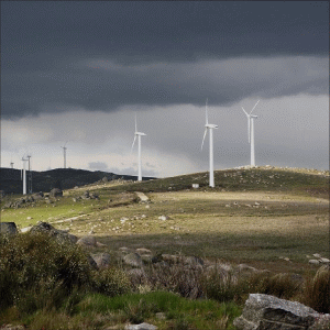 Producătorii de energie regenerabilă susţin că riscă falimentul din cauza cotei de certificate verzi de 8,3%