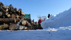 Romsilva, parteneriat cu Crucea Roşie într-o acţiune umanitară