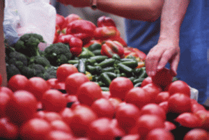 Guvernul aduce sprijin financiar pentru producătorii de tomate