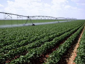 Comisarul european pentru agricultură cere reducerea subvenţiilor după Brexit