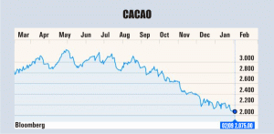 Preţul boabelor de cacao, la cel mai redus nivel din ultimii patru ani