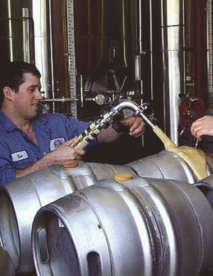 InBev şi-a sporit profitul net cu 8,6% 