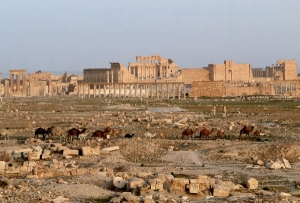 Ruinele din Palmira în anul 2010 (Sursa foto: Wikipedia)