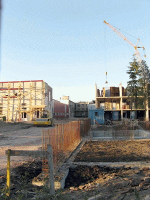 Profit de 1,82 milioane lei pentru UTA Arad