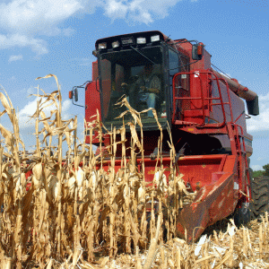 Măsuri pentru asigurarea accesului la finanţare a producătorilor agricoli 
