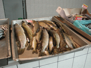 Peste 2,5 tone de peşte au fost confiscate de poliţişti înainte de Florii
