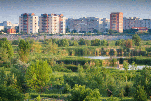 Parcului Natural Văcăreşti (Sursa foto: Wikipedia)