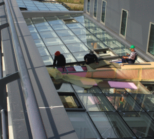 ANOFM: Peste 70.000 de persoane, angajate în primele trei luni ale anului