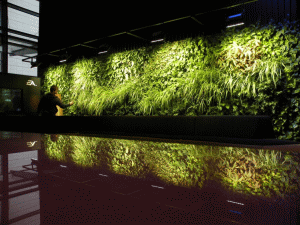 Grădinile verticale, un produs exclusivist pe piaţa noastră