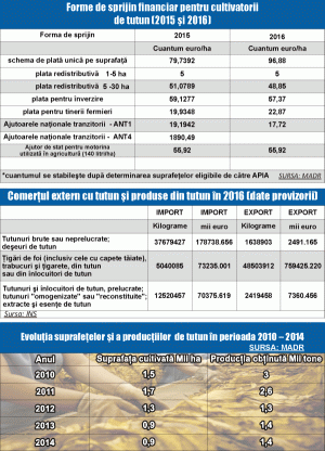 MADR: Producţia noastră de tutun a crescut, anul trecut