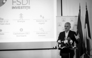 Liviu Dragnea (Sursa foto: Facebook)