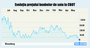 Recolta record din America de Sud pune presiune pe preţul boabelor de soia