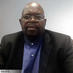 "Sectorul energetic este, încă, cel mai important pentru investiţiile româneşti în Africa de Sud"