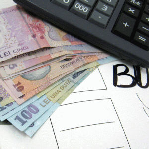Codul economic, amânat un an