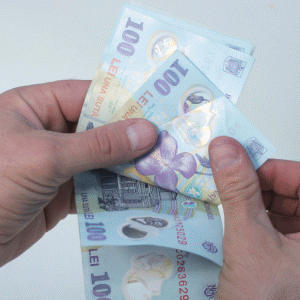 "Unele multinaţionale ar putea să nu vadă cu ochi buni trecerea la impozitul progresiv pe cifra de afaceri"